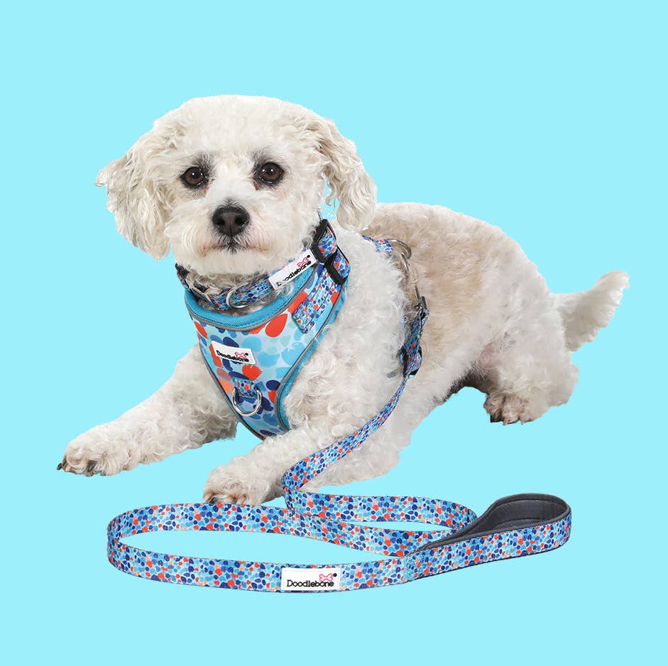 Adjustable Airmesh Dog Harness