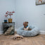 Sid The Spider Soft Dog Toy