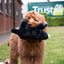 Ancol Pet Products Ltd - Heritage Montgomery Mole  Plush  Dog Toy