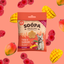 Soopa Mango & Raspberry Dog Treats