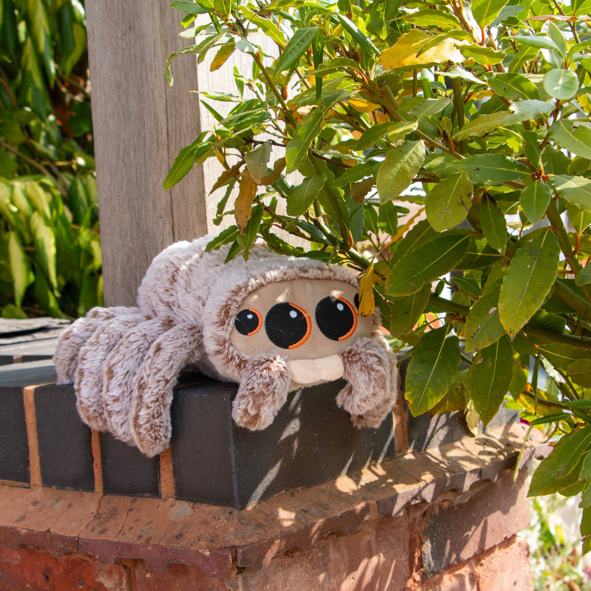 Sid The Spider Soft Dog Toy