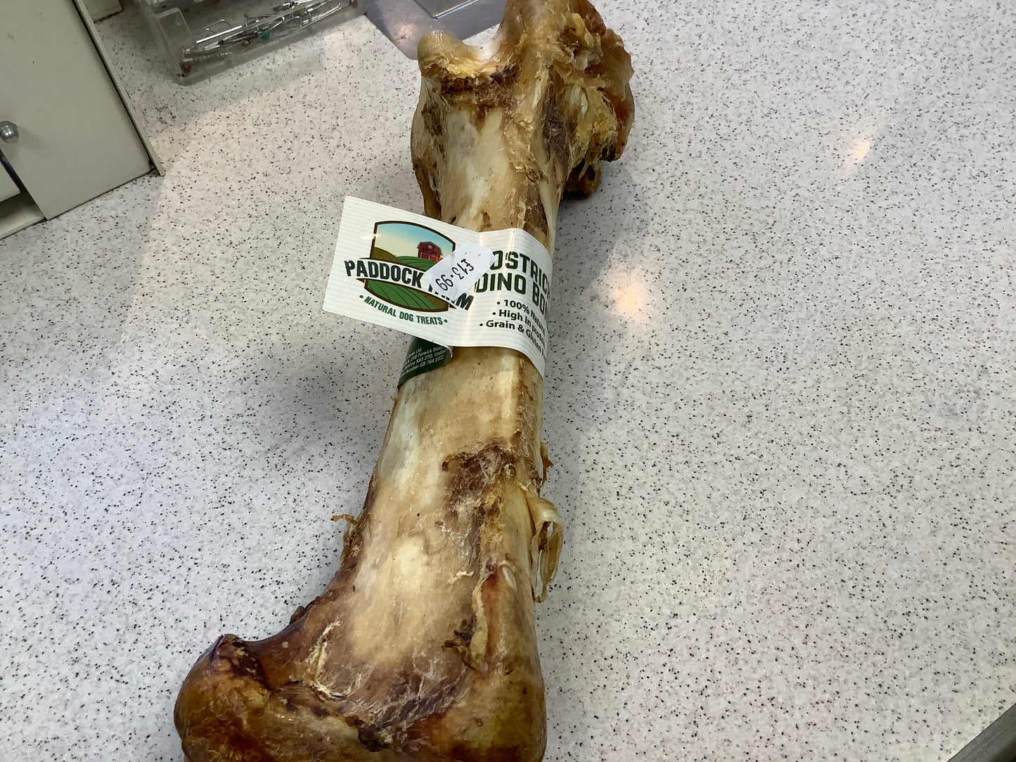 Paddock Farm Ostrich Dino Bone