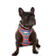Adjustable Airmesh Dog Harness