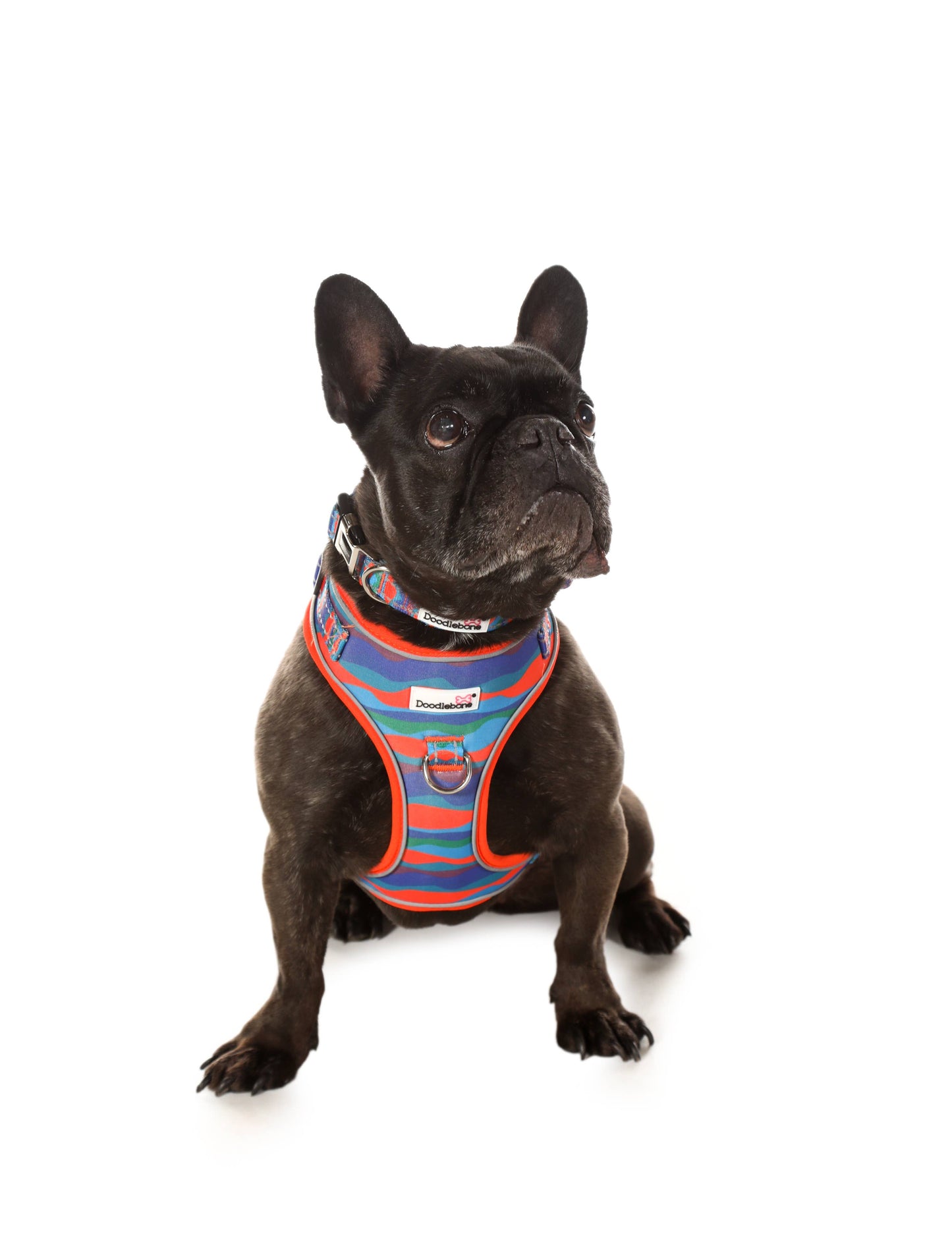 Adjustable Airmesh Dog Harness