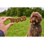 Petello Nobblys Original Peanut Butter Dog Chew