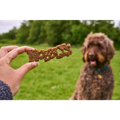 Petello Nobblys Original Peanut Butter Dog Chew