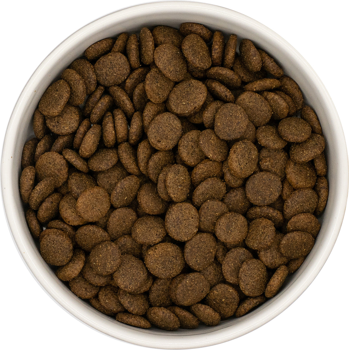 Everest & Co Grain Free Senior Turkey with Sweet Potato & Cranberry