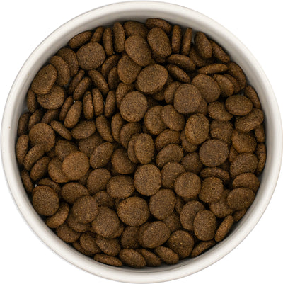 Everest & Co Grain Free Senior Turkey with Sweet Potato & Cranberry