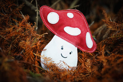 Aurora Paws - Marie the Mushroom shaped Eco Dog Toy