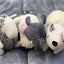 Eco Giraffe Plush Dog Toy