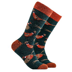 Pair of socks with pheasant pattern on a white background