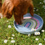 Bodhi & The Birchtree - Rainbow Enrichment Bowl Leaden