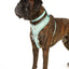 Adjustable Airmesh Dog Harness