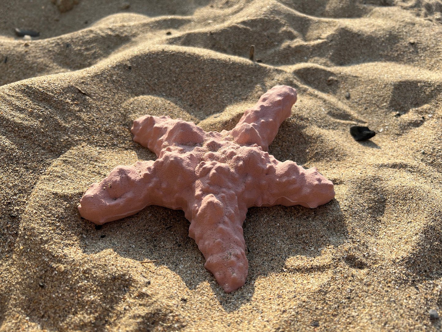 Recycled Rubber Starfish Dog Treat Toy