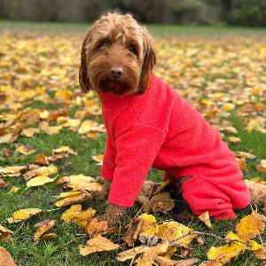 Four Legged Dog Fleeces