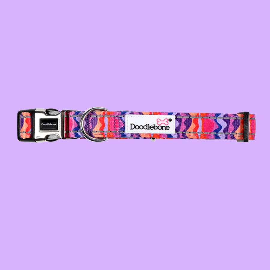 Doodlebone Padded Dog Collar