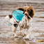 Aurora Jelly Fish XL Dog and Horse Eco Toy