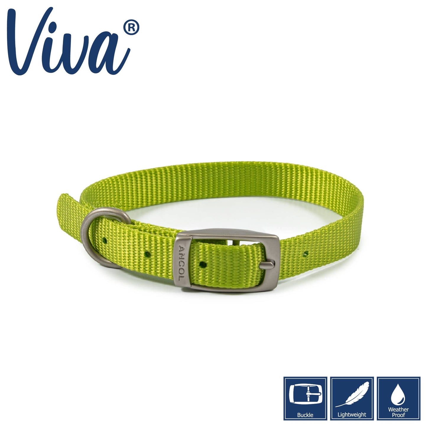 Ancol Viva Buckle Collar Lime