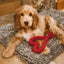 Heart Dog Toy