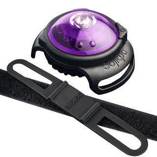 ORBILOC Mousqueton pour Safety Light Dog Dual