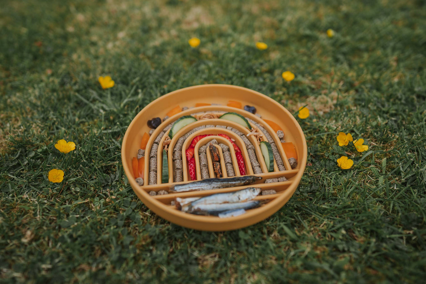 Bodhi & The Birchtree - Rainbow Enrichment Bowl Honey