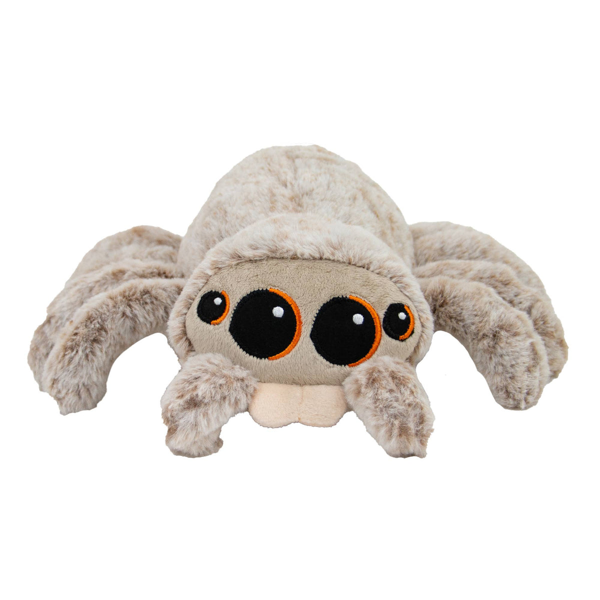 Sid The Spider Soft Dog Toy