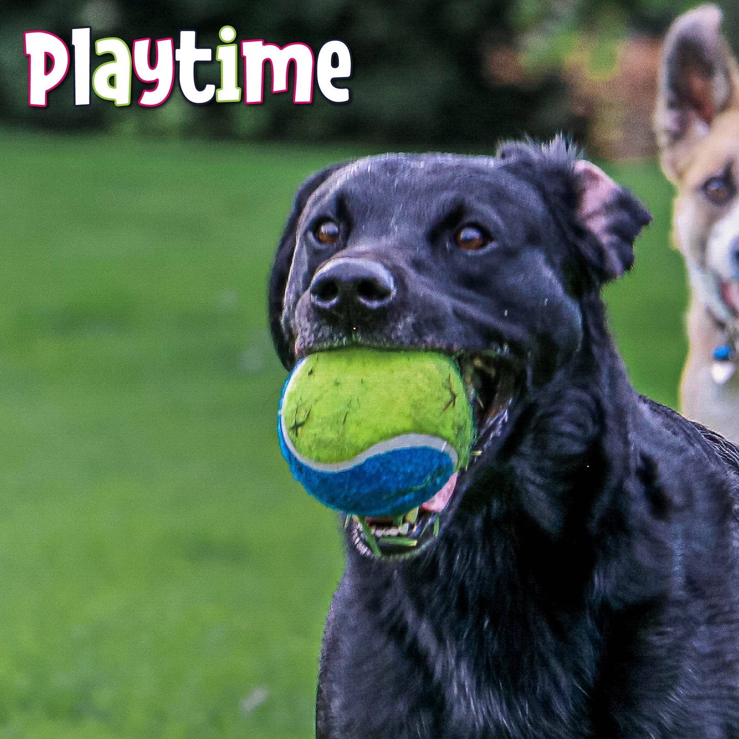 Mega Tennis Ball Dog Toy