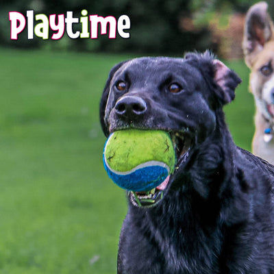Mega Tennis Ball Dog Toy