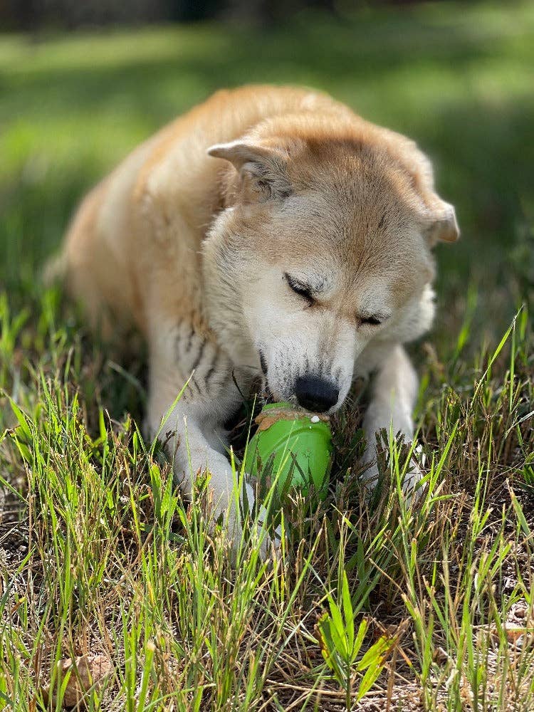 Gnome Durable PUP-X Synthetic Rubber Treat Dispenser: Gnome Treat Dispenser
