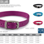 Ancol Viva Buckle Collar Red