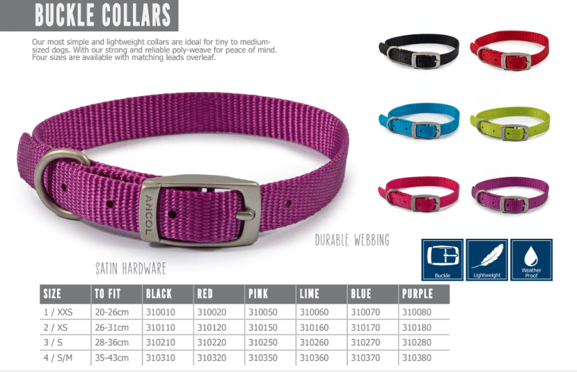 Ancol Viva Buckle Collar Red