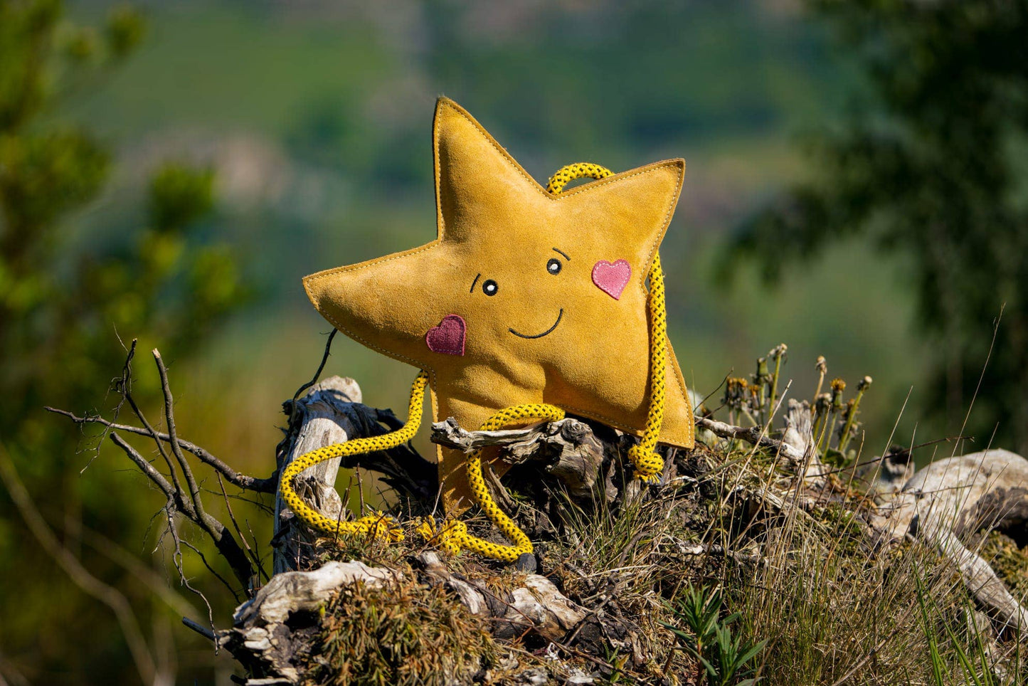 Star XL Dog and Horse Eco Toy
