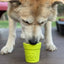 Flower Pot Durable Rubber Treat Dispenser & Enrichment: Green