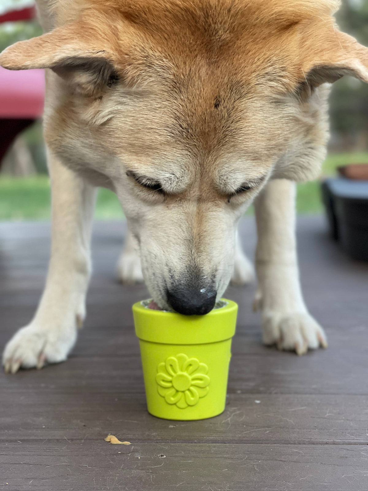 Flower Pot Durable Rubber Treat Dispenser & Enrichment: Green