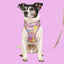 Adjustable Airmesh Dog Harness