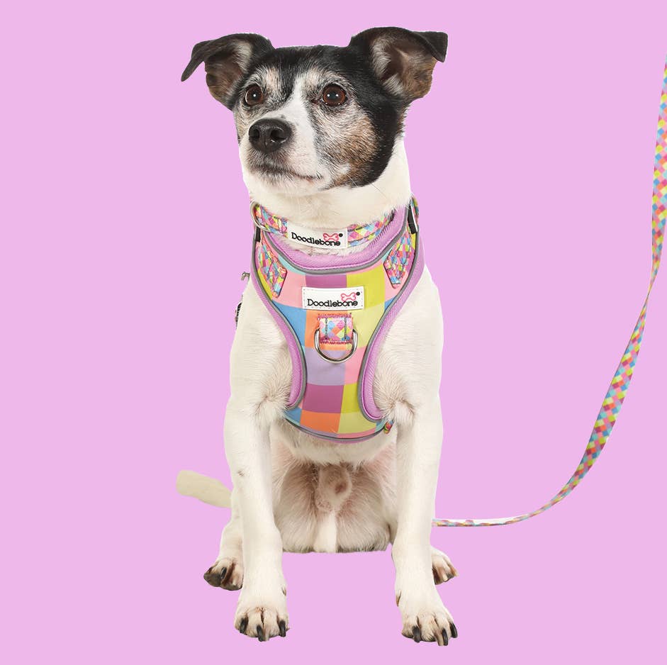 Adjustable Airmesh Dog Harness