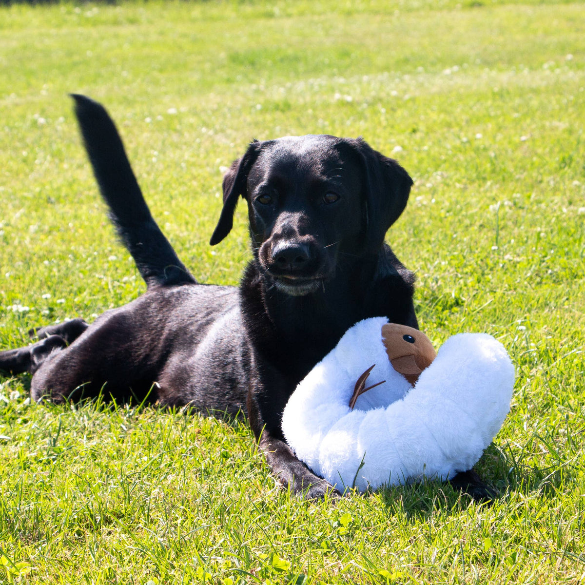 Cuddly Critters Dog Toys
