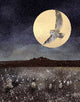 Glitter and Earth - Owl stone circle