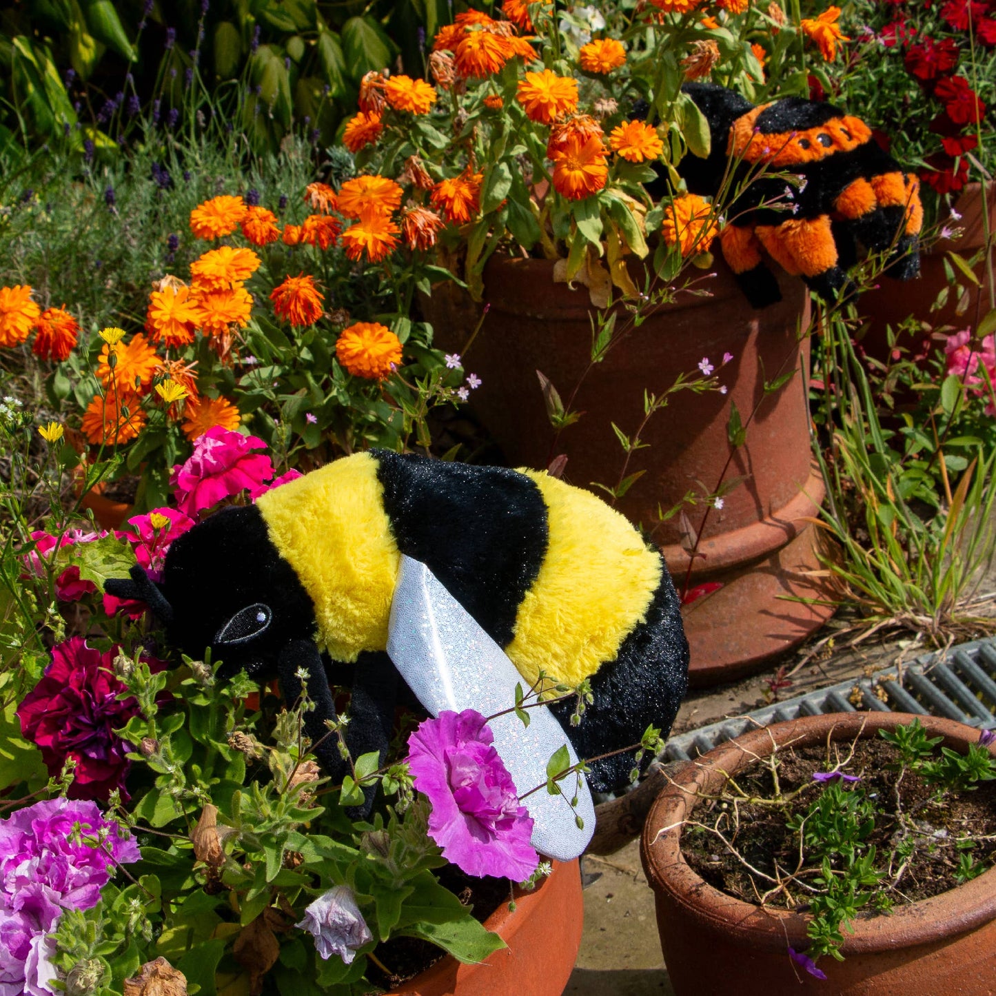Cuddly Critters Dog Toys