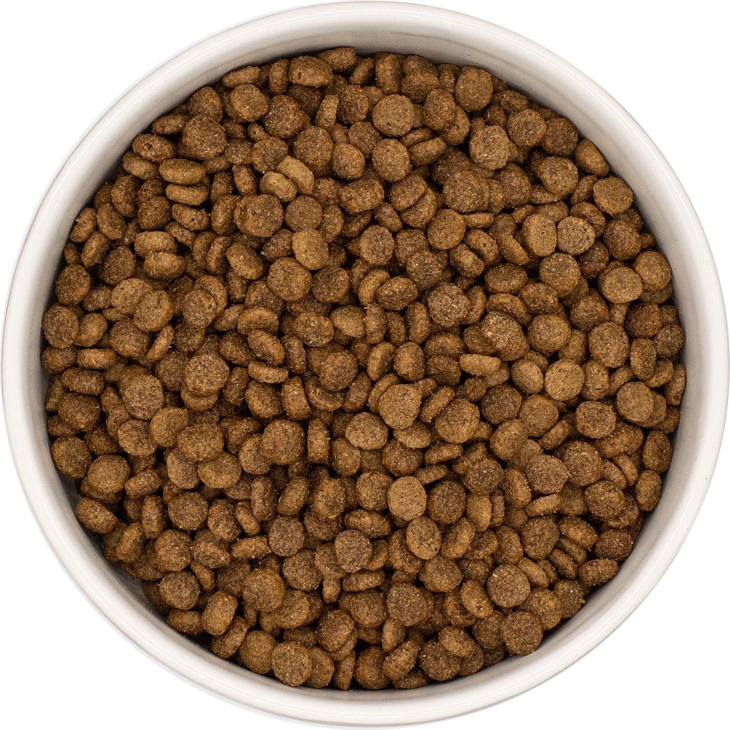Everest & Co Small Breed Adult Chicken & Rice