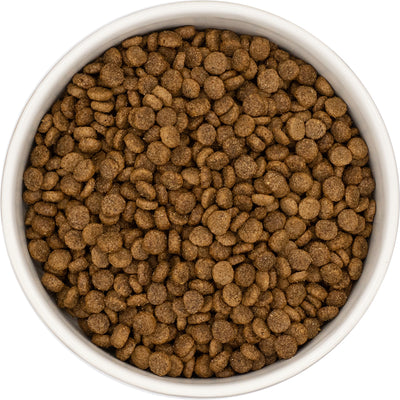 Everest & Co Small Breed Adult Chicken & Rice