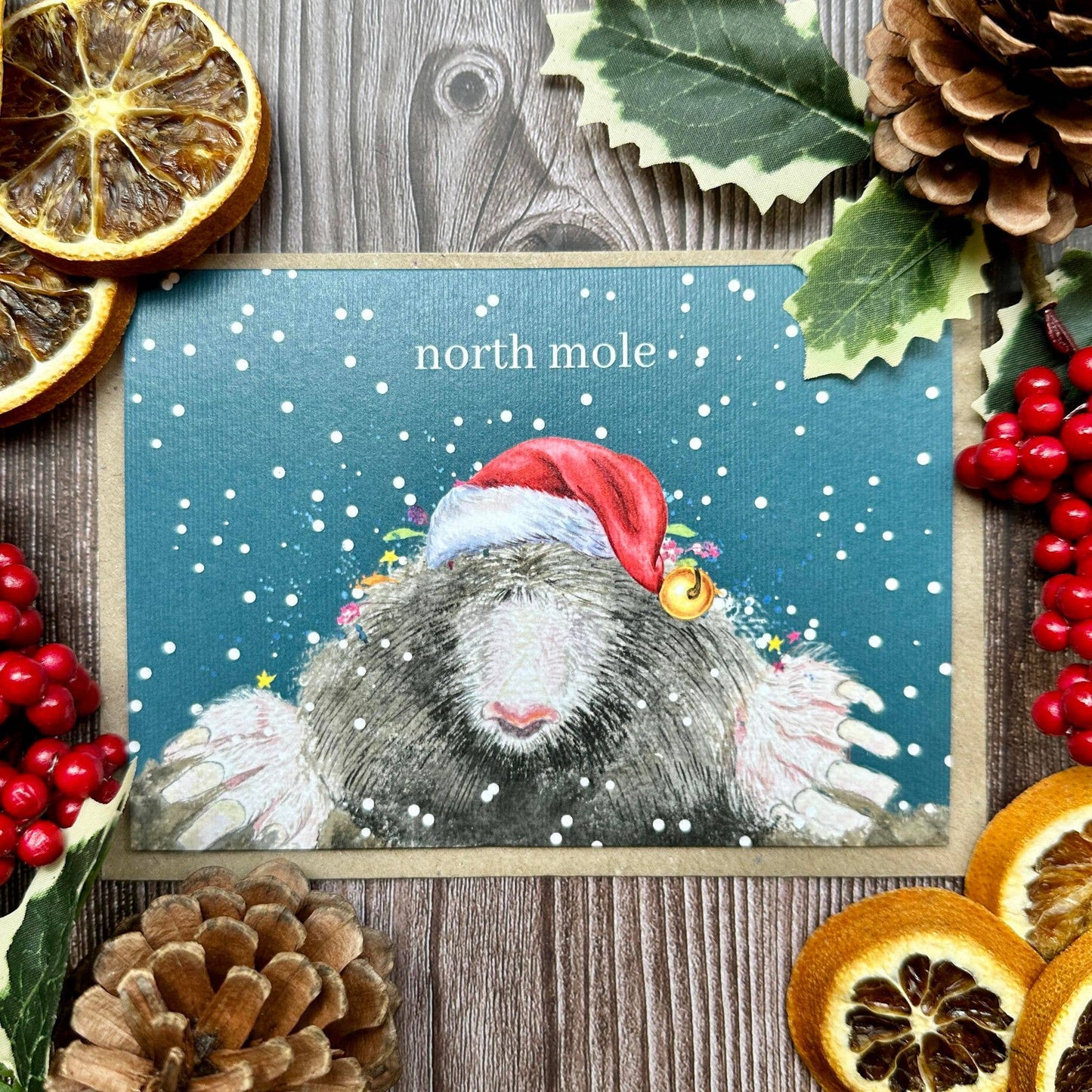 North Mole Christmas Eco Friendly Art Card cute funny blank