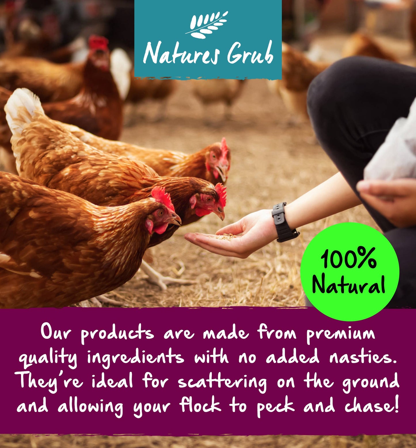 Natures Grub Garlic, Herbs & Seaweed Pecking Block 330g