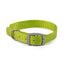 Ancol Viva Buckle Collar Lime