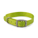Ancol Viva Buckle Collar Lime