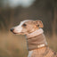 Bodhi & The Birchtree - Bodhi & The Birchtree Dark Camel & Light Stone Fleece Snood