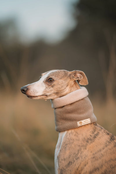 Bodhi & The Birchtree - Bodhi & The Birchtree Dark Camel & Light Stone Fleece Snood