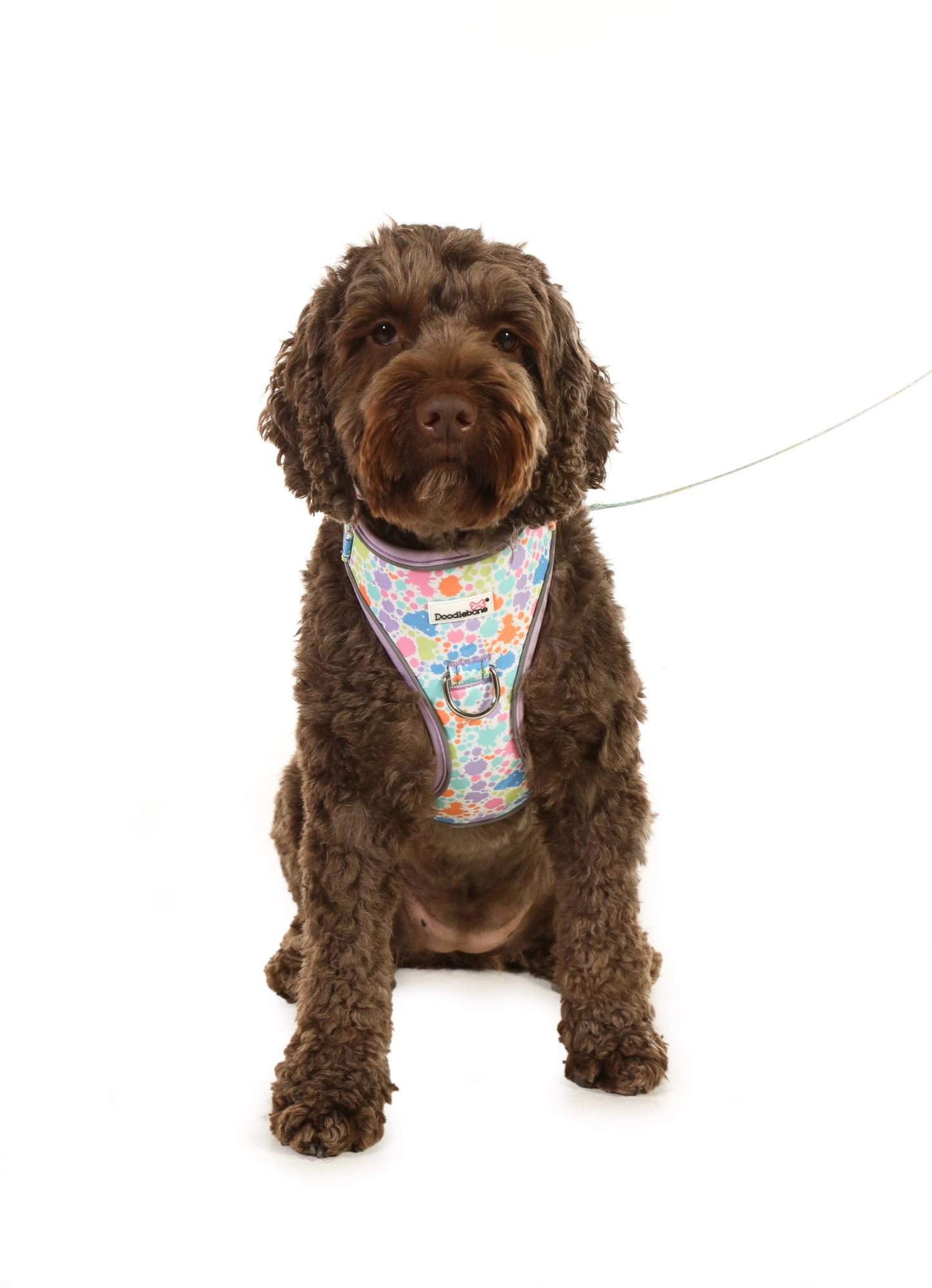 Adjustable Airmesh Dog Harness