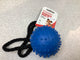 Rubber pimple ball on a rope