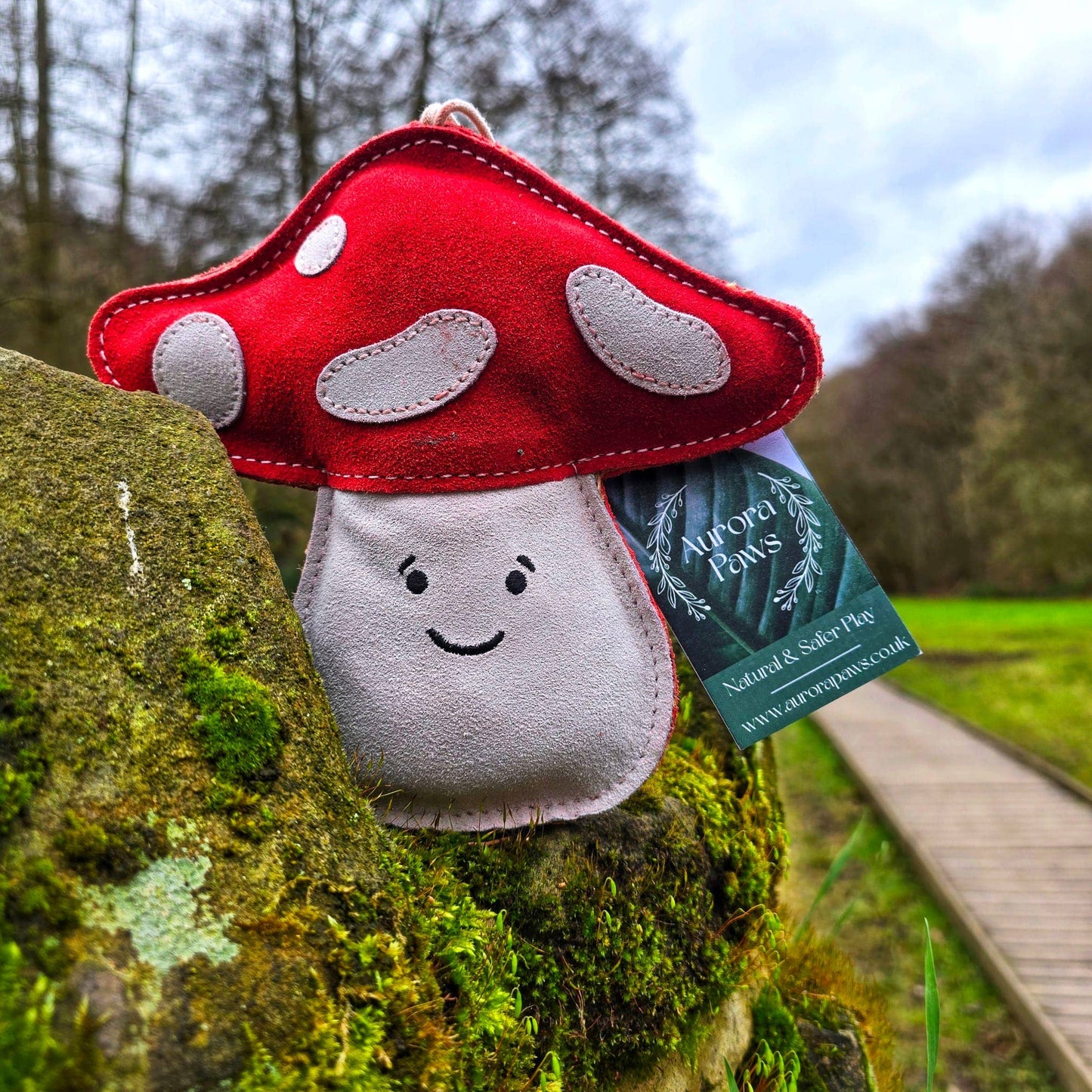 Aurora Paws - Marie the Mushroom shaped Eco Dog Toy